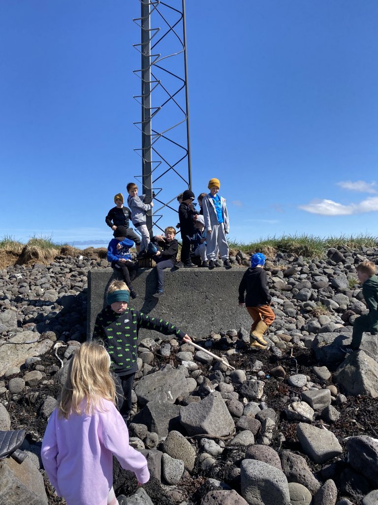 Nemendur í 2. bekk vorum að vinna með námsefnið Hvalir 